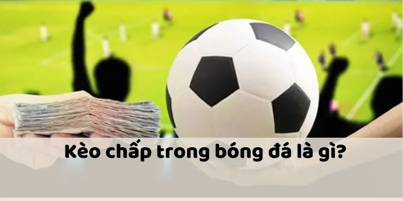 Kinh nghiệm quý báu cho mọi người chơi tại nhà cái Vin88 Kinh nghiệm quý báu cho mọi người chơi tại nhà cái Vin88